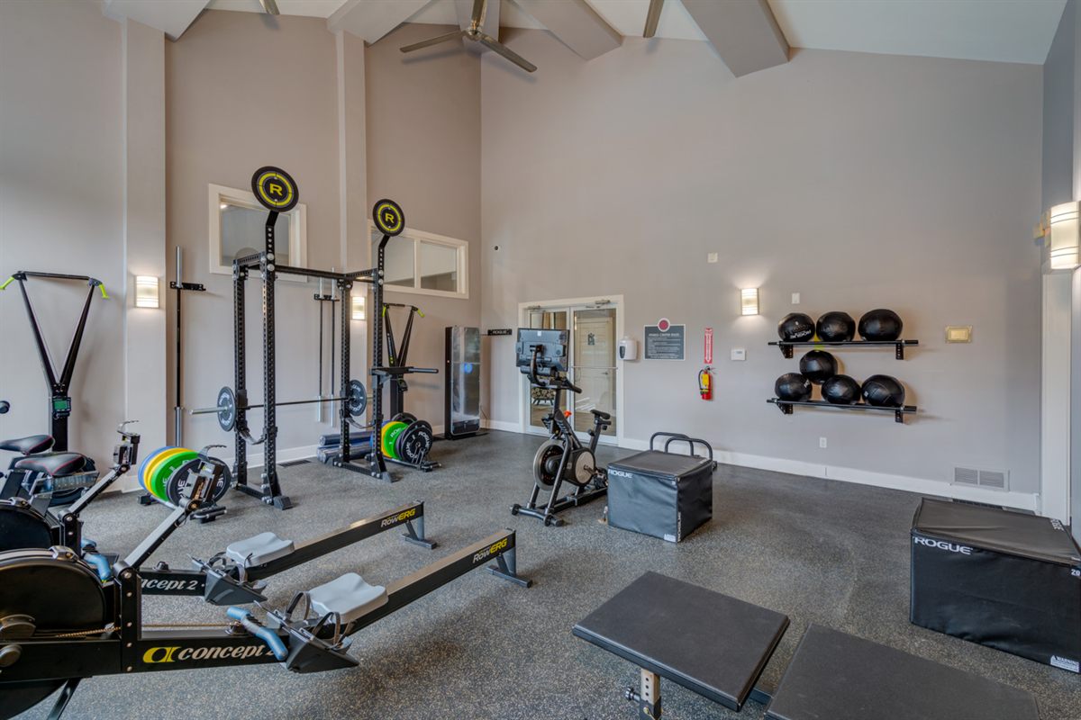 Rogue Strength Equipment